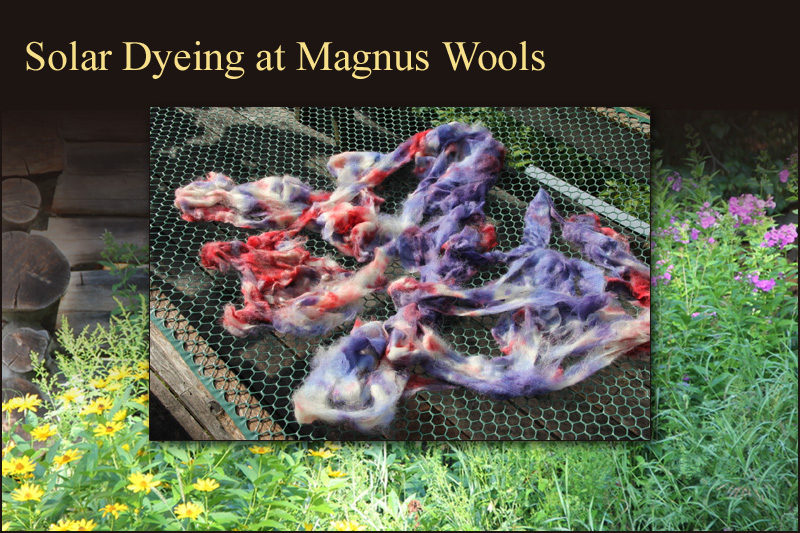 Solar dyeing at Magnus Wools, Peacham, Vermont - copyright 2010 Erik Magnus