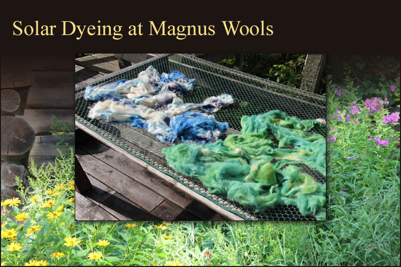 Solar dyeing at Magnus Wools, Peacham, Vermont - copyright 2010 Erik Magnus