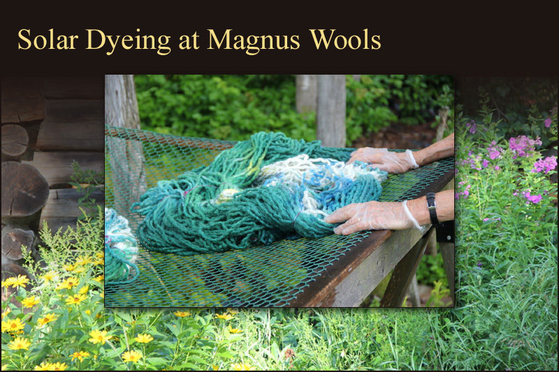 Solar dyeing at Magnus Wools, Peacham, Vermont