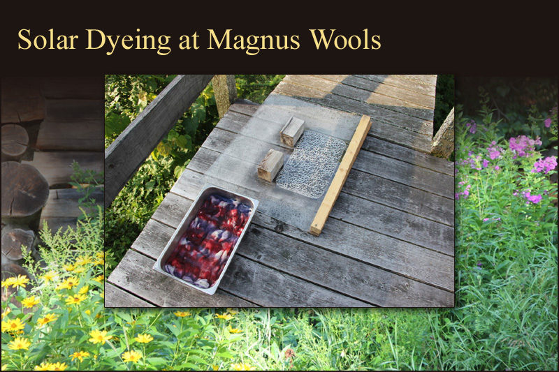 Solar dyeing at Magnus Wools, Peacham, Vermont - copyright 2010 Erik Magnus