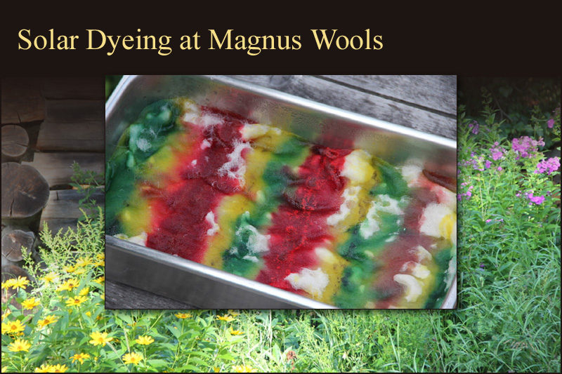 Solar dyeing at Magnus Wools, Peacham, Vermont - copyright 2010 Erik Magnus
