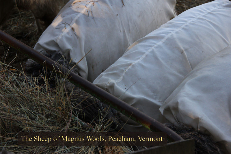 The sheep at Magnus Wools, Peacham, Vermont - copyright 2010 Erik Magnus