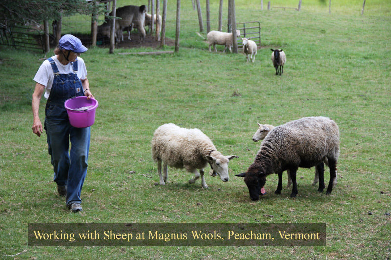 The sheep at Magnus Wools, Peacham, Vermont - copyright 2010 Erik Magnus - copyright 2010 Erik Magnus
