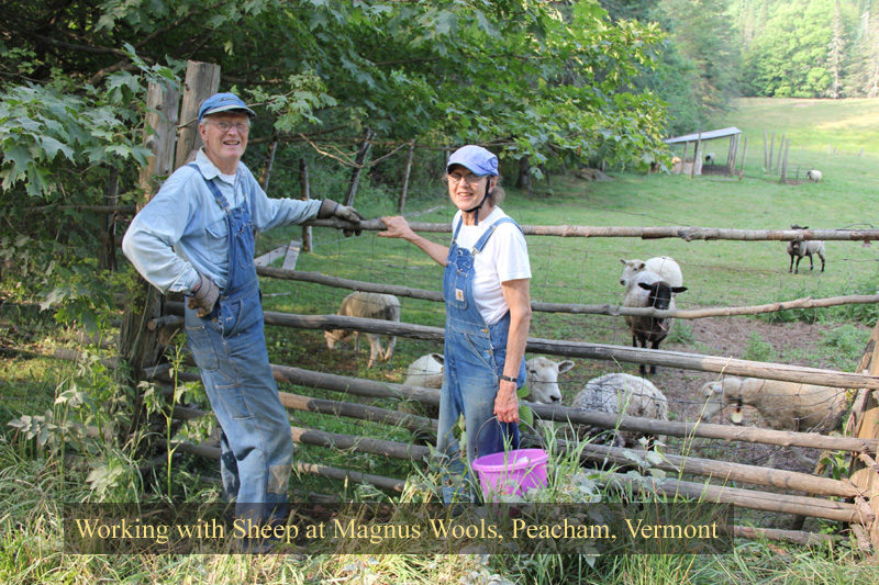 The sheep at Magnus Wools, Peacham, Vermont - copyright 2010 Erik Magnus